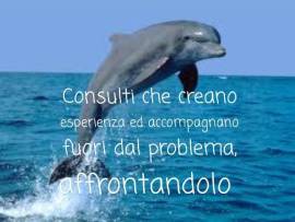 I TAROCCHI DI PAOLA