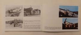 Regia Aeronautica:Periodo prebellico e fronti occidentali di Gabriele Tamburini Ed.Intergest, 1975