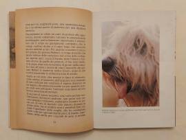 IL CONTE DI MONECRISTO di Alexandre Dumas; 1°Edizioni Accademia, 1976