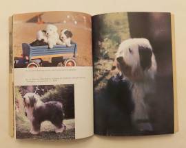 IL CONTE DI MONECRISTO di Alexandre Dumas; 1°Edizioni Accademia, 1976