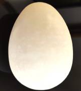 UOVA SCULTURE IN ALABASTRO.