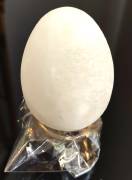 UOVA SCULTURE IN ALABASTRO.