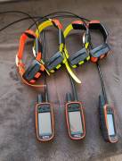 Garmin Alpha 100, 200, 300, PDA / Garmin Astro 64s, 320, 430, 900 palmari e collari TT 15 MINI Garmin Alpha 100, 200, 300, PDA / Garmin Astro 64s, 320, 430, 900 palmari e collari TT 15 MINI