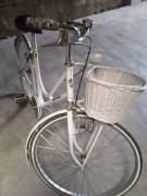 Bicicletta da donna Regina Elena Vintage, 