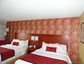 Locazioni turistiche a Marghera VE