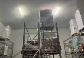 Circa 13.990 kg di pesce, crostacei e molluschi surgelati/congelati Circa 13.990 kg di pesce, crostacei e molluschi surgelati/congelati