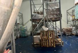 Circa 13.990 kg di pesce, crostacei e molluschi surgelati/congelati Circa 13.990 kg di pesce, crostacei e molluschi surgelati/congelati