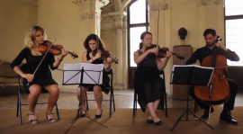 Musica musicisti matrimonio lodi como lecco milano arpa violino organo