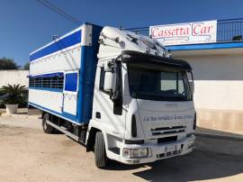 IVECO 75E15 TRASPORTO CAVALLI-ANIMALI VIVI