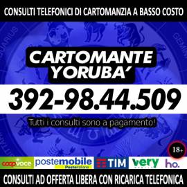 I miei consulti sono tutti a pagamento ma con offerta libera [Cartomante Yorubà]