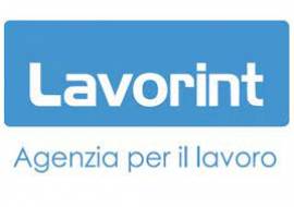 ADDETTE/I AL BANCO PANE - SUPERMERCATO FIUMICINO (RM)
