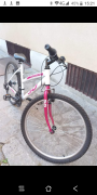 Mountain Bike taglia 26"