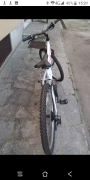 Mountain Bike taglia 26"