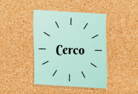 Cerco Lavoro (Laureato)