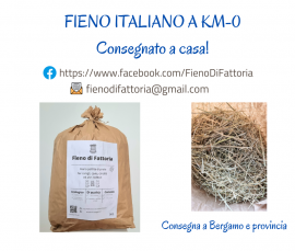 Fieno a KM-0 per conigli, cavie e cincillà