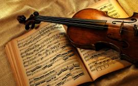 Lezioni di violino e solfeggio