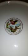 GUILLERMO MARIOTTO CENTROTAVOLA PORCELLANA COLIBRÌ