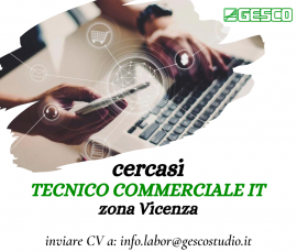 TECNICO COMMERCIALE SETTORE IT