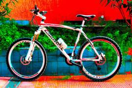 vendo mtb bottecchia r 520