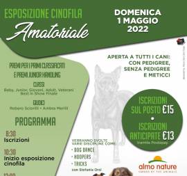 Esposizione cinofila amatoriale 