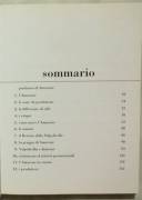 L'Amarone di Patricia Guy; Morganti Editore, Sommacampagna  2000 come nuovo 