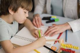 Baby Sitter, Dog/Cat Sitter, Ripetizioni, Gestione Del Diabete