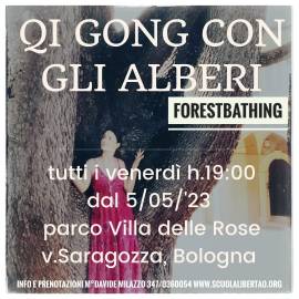 corsi di qigong con gli alberi