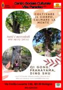 corsi di qigong con gli alberi