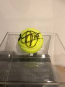 Pallina Tennis Autografata Novak Djokovic Tennis Ball Signed Autografata DJOKOVI