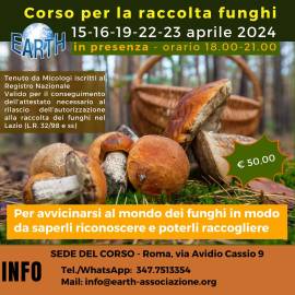 Corso per la raccolta funghi nel Lazio 