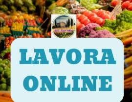 Lavoro online