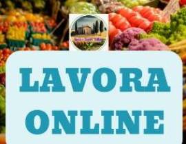 Lavoro online