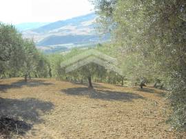 Terreno con fabbricato con vista lago di Guardialfiera - Ag19