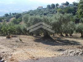 Terreno con fabbricato con vista lago di Guardialfiera - Ag19