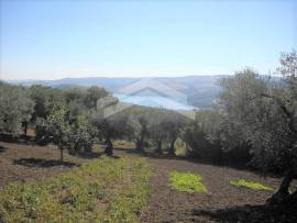 Terreno con fabbricato con vista lago di Guardialfiera - Ag19