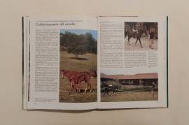 Il grande libro del cavallo di De Maria Luciano Ed.De Agostini 1985 come nuovo 