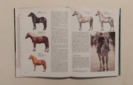 Il grande libro del cavallo di De Maria Luciano Ed.De Agostini 1985 come nuovo 