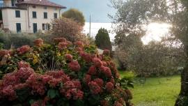 San Siro (CO) Bilocale con giardino in riva al lago