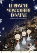 LA CASA DI BABBO NATALE – ALLESTIMENTI STRUTTURE ANIMAZIONE DI NATALE DISTRIBUZIONE CIOCCOLATA CALDA