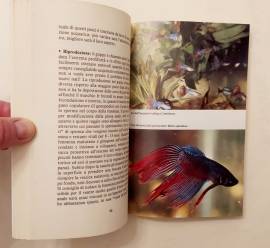 L'ABC DELL'ACQUARIO TROPICALE: D'ACQUA DOLCE DI MAURO MARIANI ED.DE VECCHI EDITORE, 1993 COME NUOVO 