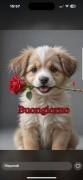 Solo amore