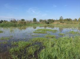 ESCLUSIVA: OASI NATURALISTICA "VALLE SACCA" - PRESTIGIOSA OPPORTUNITÀ D'INVESTIMENTO NEL C