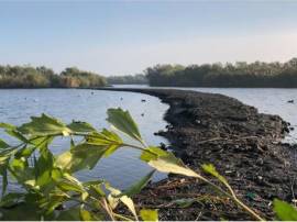 ESCLUSIVA: OASI NATURALISTICA "VALLE SACCA" - PRESTIGIOSA OPPORTUNITÀ D'INVESTIMENTO NEL C