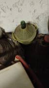 Damigiana 50 litri e contenitori di olio in metallo 