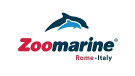 Stage Ufficio Acquisti