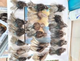 piume di gallo di León per il montaggio di mosche
