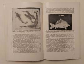 Idrobiologia e piscicoltura di Giulia Giordani Ed.Edagricole, 1972