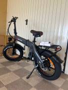 Fat Bike elettrica 