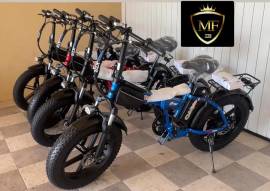 Fat Bike elettrica 