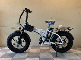 Fat Bike elettrica 